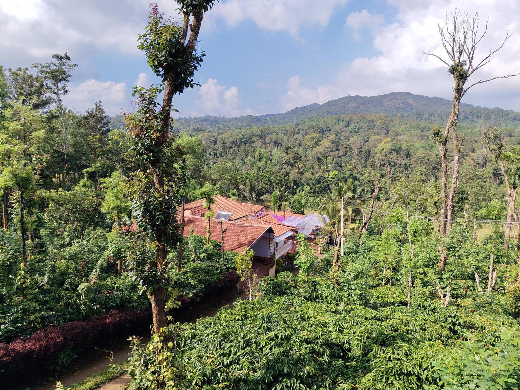 Shivalaya Homestay, Madikeri Siddāpur Exterior photo